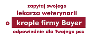 Krople firmy Bayer - Zapytaj lekarza weterynarii